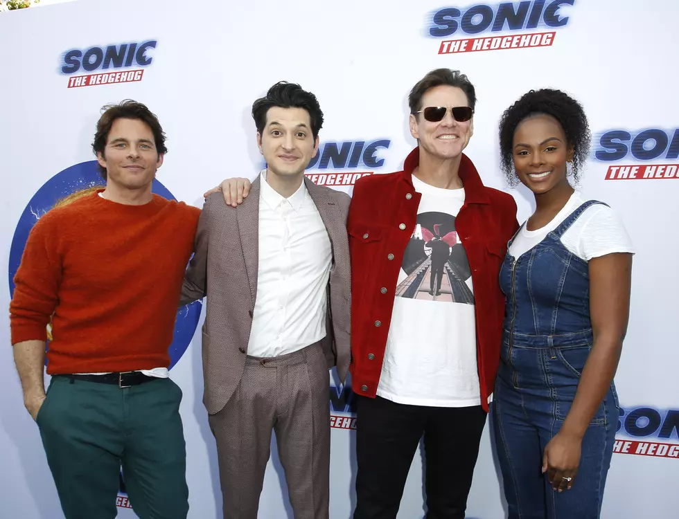 ‘Sonic The Hedgehog’ Star To Talk at Capital Region College